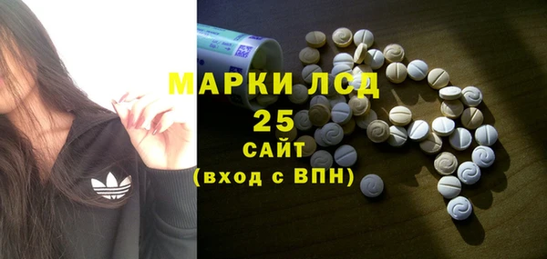 индика Слюдянка