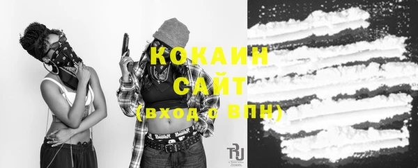 индика Слюдянка