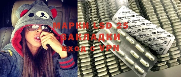индика Слюдянка