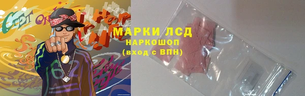 индика Слюдянка