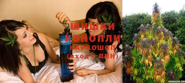 ПСИЛОЦИБИНОВЫЕ ГРИБЫ Снежногорск