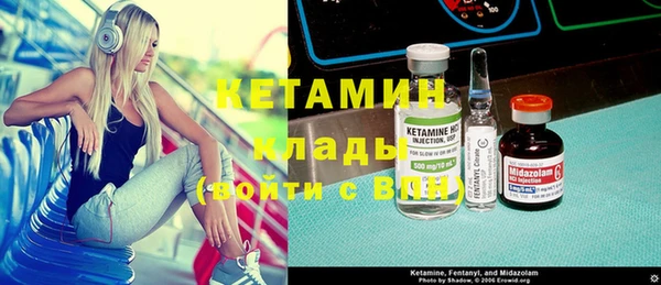 индика Слюдянка