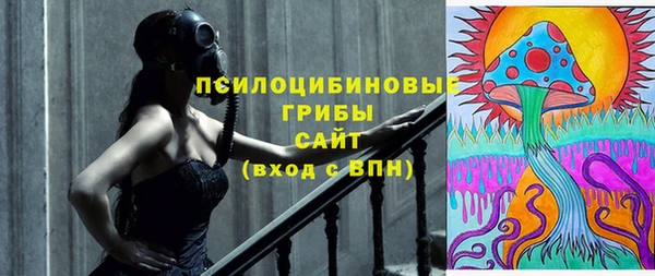 ПСИЛОЦИБИНОВЫЕ ГРИБЫ Снежногорск