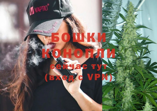 ПСИЛОЦИБИНОВЫЕ ГРИБЫ Снежногорск