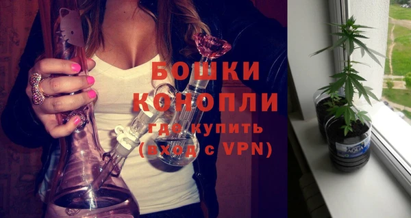 ПСИЛОЦИБИНОВЫЕ ГРИБЫ Снежногорск