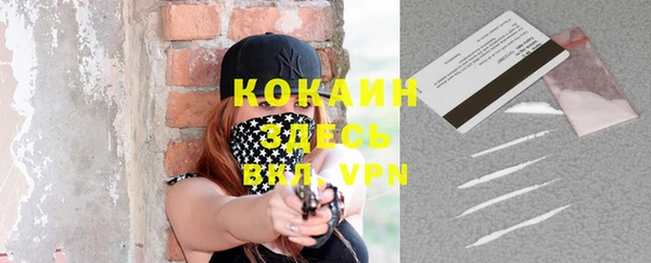 индика Слюдянка