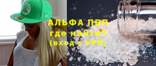 индика Слюдянка