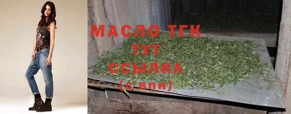меф Снежинск