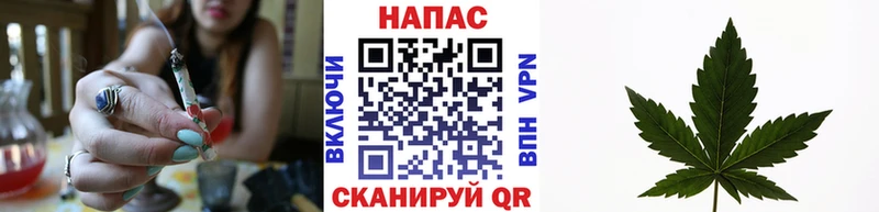 что такое наркотик  Болгар  Бошки Шишки планчик 